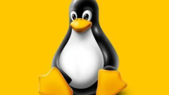 プログラマーが知っておくべき 10 の Linux コマンド