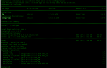 Linux 中的 JQ 命令使用实例
