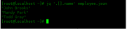 Linux 中的 JQ 命令使用实例