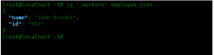 Linux 中的 JQ 命令使用实例