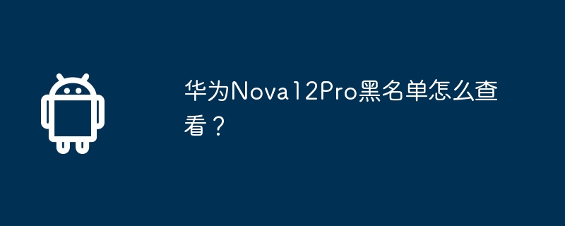 华为nova12pro黑名单怎么查看？