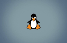 如何默认启动到 Linux 系统的旧内核