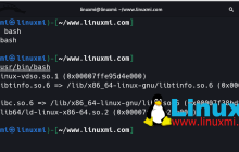 Linux上的chroot命令:如何在隔离的空间中运行和测试应用程序