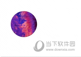 CorelDRAW蒙版工具怎么用 使用方法教程