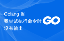 Golang 当我尝试执行命令时没有输出