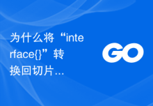 为什么将“interface{}”转换回切片会导致额外的堆分配？