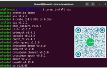Linux终端命令行居然也可以用来查看图像