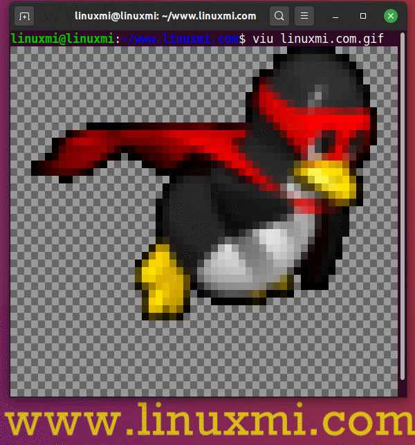 Linux终端命令行居然也可以用来查看图像