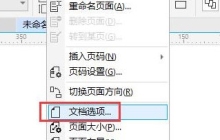 CorelDRAW文档选项设置介绍 自定义设置方法教程