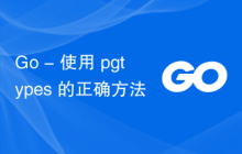 Go - 使用 pgtypes 的正确方法