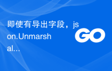 即使有导出字段，json.Unmarshal 也不起作用