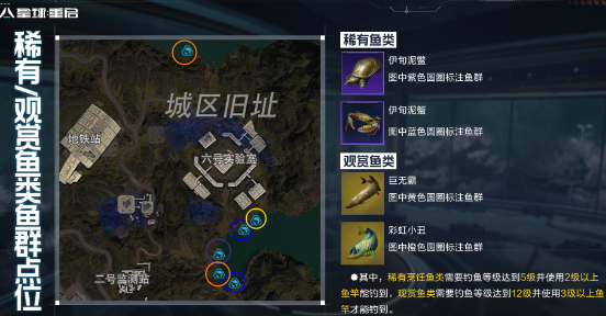 星球重启金色鱼点在哪