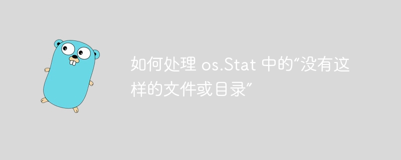 如何处理 os.Stat 中的“没有这样的文件或目录”