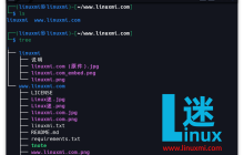 Linux 中的相对路径和绝对路径就是这么简单