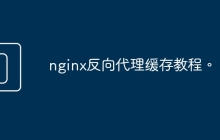 nginx反向代理缓存教程。