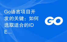Go语言项目开发的关键：如何选取适合的IDE工具