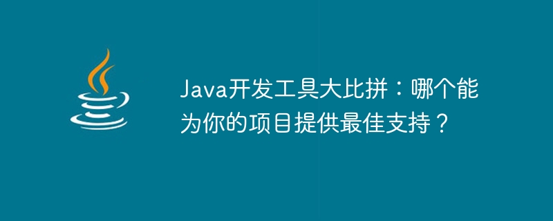 java开发工具大比拼：哪个能为你的项目提供最佳支持？