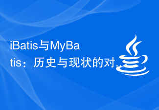 iBatis and MyBatis: Comparative evaluation of history and current situation