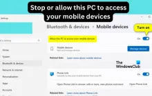 停止或允许此电脑在Windows 11上访问您的移动设备