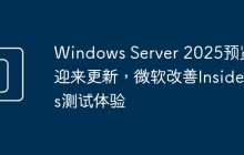 Windows Server 2025预览版迎来更新,微软改善Insiders测试体验