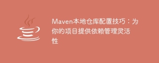 maven本地仓库配置技巧：为你的项目提供依赖管理灵活性