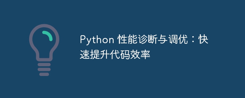 python 性能诊断与调优：快速提升代码效率