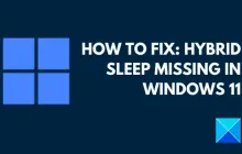 Windows 11中缺少混合睡眠[修复]