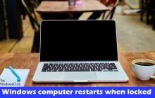 Windows计算机在锁定时重新启动[修复]