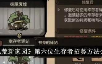「Don't Starve Home」で 6 人目の生存者を募集する方法の紹介