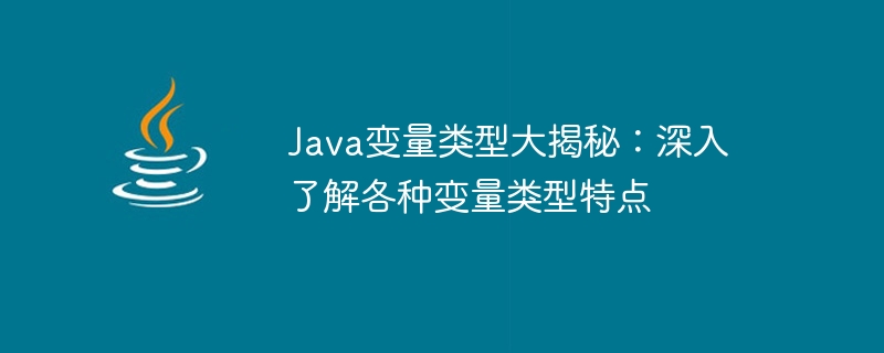 java变量类型大揭秘：深入了解各种变量类型特点