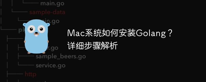 mac系统如何安装golang？详细步骤解析