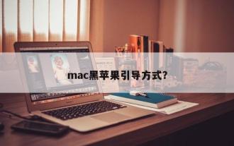 Macブラックアップルブート方法?