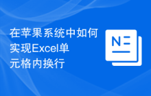 在苹果系统中如何实现Excel单元格内换行
