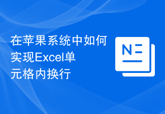 在苹果系统中如何实现Excel单元格内换行