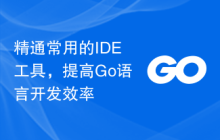 精通常用的IDE工具，提高Go语言开发效率