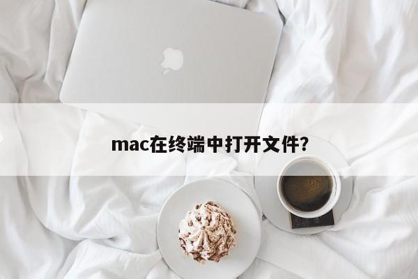 Macはターミナルでファイルを開きますか?