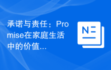承诺与责任：Promise在家庭生活中的价值