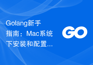 Golang 初心者ガイド: Mac システムでのインストールと構成の完全ガイド