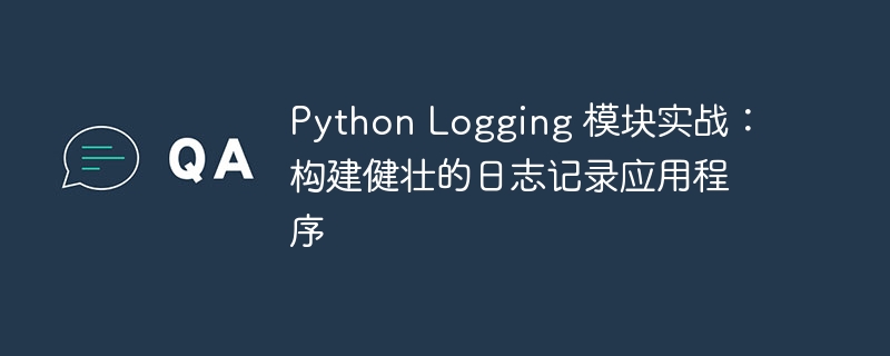 python logging 模块实战：构建健壮的日志记录应用程序