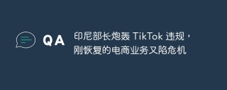 印尼部长炮轰 tiktok 违规,刚恢复的电商业务又陷危机