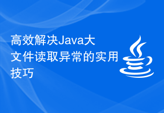 Java の大きなファイル読み取り例外を効率的に解決するための実践的なヒント