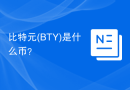 比特元(BTY)是什么币？