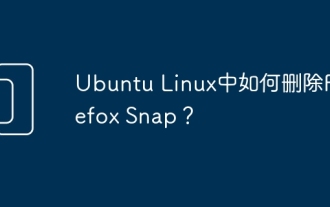 Comment supprimer Firefox Snap dans Ubuntu Linux ?