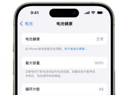 Quelle est la durée de vie de la batterie de la série iPhone 15 ?