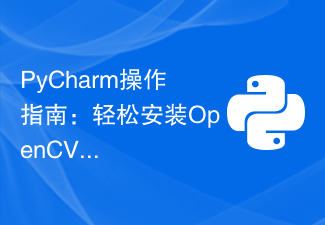 PyCharm-Bedienungsanleitung: Einfache Installation des OpenCV-Plug-Ins