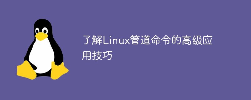 Linux 파이프 명령에 대한 고급 애플리케이션 팁 알아보기
