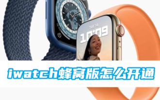 How to activate iwatch cellular version