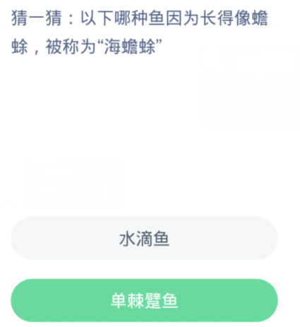 蚂蚁森林神奇海洋1月8日：以下哪种鱼因为长得像蟾蜍被称为海蟾蜍