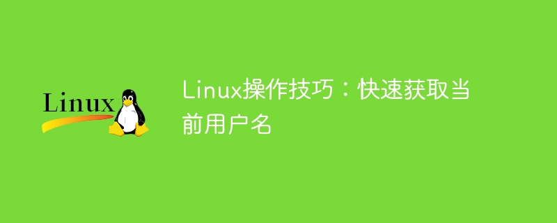 Linux-Bedienungstipps: So finden Sie schnell den aktuellen Benutzer