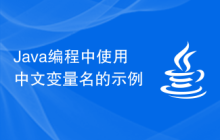 Java编程中使用中文变量名的示例